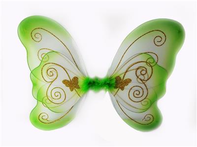 BUTTERFLY WINGS - OBL837547