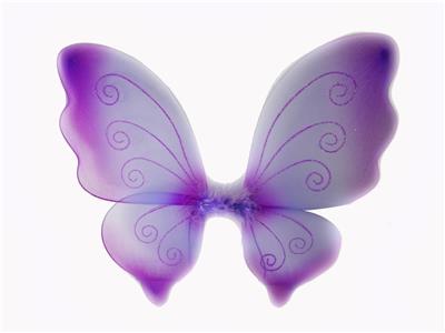 BUTTERFLY WINGS - OBL837558