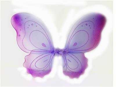 BUTTERFLY WINGS - OBL837559