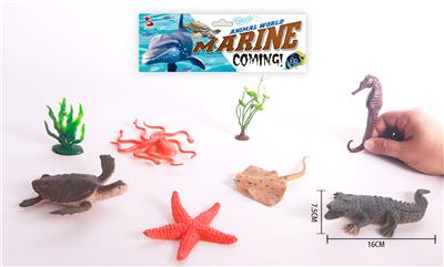 海洋套装 - OBL844071