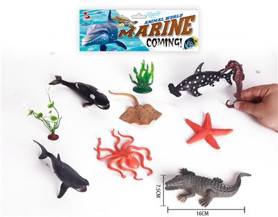 海洋套装 - OBL844073