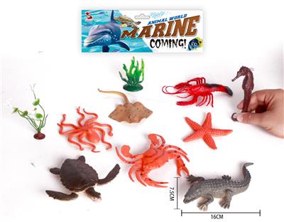 海洋套装 - OBL844074