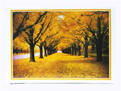 1000 LANDSCAPE PUZZLES. - OBL845136