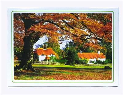 1000 PIECES OF LANDSCAPE MOSAIC - OBL845142