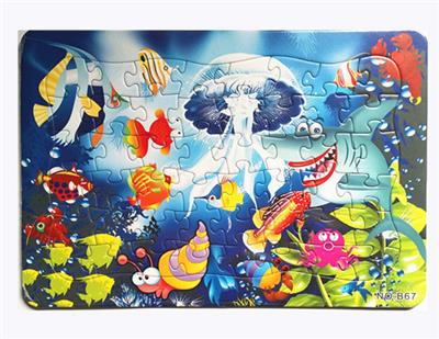 48 PIECES OF PUZZLE - OBL845220