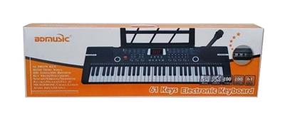 61 KEY ELECTRONIC ORGAN - OBL845811