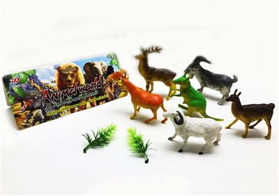 空心动物 - OBL847388