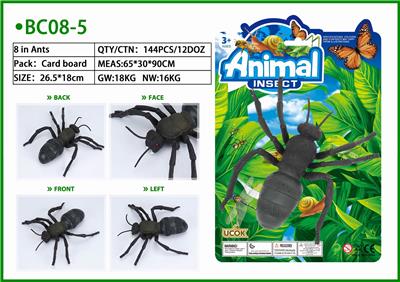 1只8寸蚂蚁绑板 - OBL853675