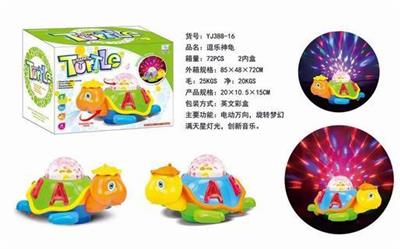 AMUSED TURTLE - OBL871319