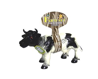 DAIRY CATTLE - OBL879920