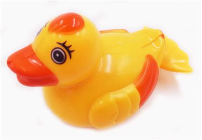 UPSTREAM SWIMMING DUCK - OBL883964