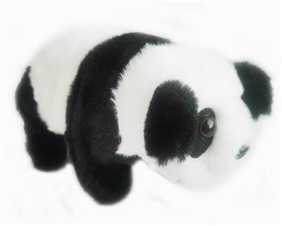 ELECTRIC PLUSH TOYS - OBL898772