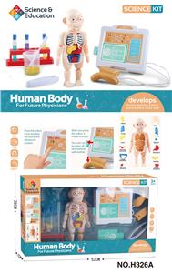 DoctorToy - OBL900571