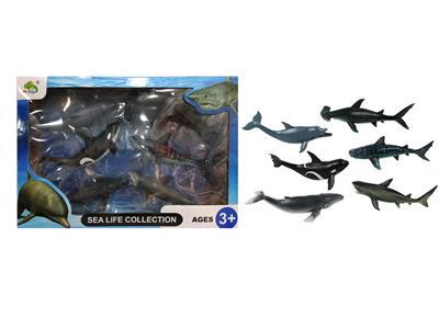 8寸海洋6只 - OBL906908