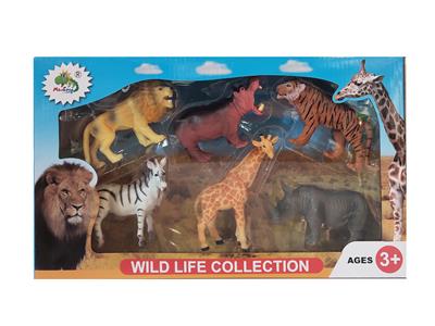 5寸野生6只 - OBL906979