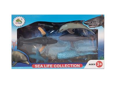 5寸海洋6只 - OBL906981