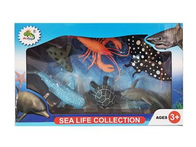 5寸海洋6只 - OBL906994