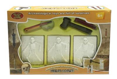 BOXED ARCHAEOLOGICAL HUMAN BODY SERIES - OBL911608