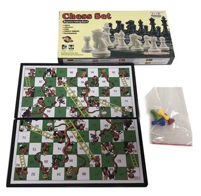 磁性蛇棋 - OBL934617