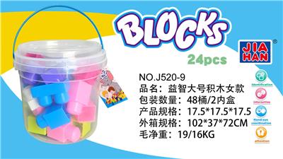 益智大号积木女款（大约330克，24PCS） - OBL968873