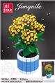 OBL10009750 - 长寿花  842PCS