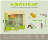 OBL10032632 - 科技生物进化演变过程(蜜蜂)