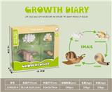 OBL10032633 - 科技生物进化演变过程(蜗牛)