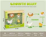 OBL10032634 - 科技生物进化演变过程(鸡)