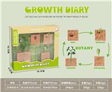 OBL10032635 - 科技生物进化演变过程(植物种子)
