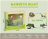 OBL10032637 - 科技生物进化演变过程(乌龟)