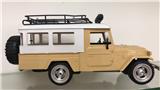 OBL10034678 - Remote control cars / tanks