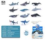 OBL10045839 - 12只8寸彩绘海洋动物展示盒