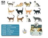 OBL10045855 - 12只5寸彩绘宠物猫展示盒
