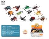 OBL10045859 - 12只8寸大昆虫展示盒