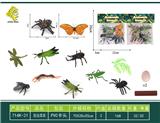 OBL10064020 - 昆虫套装