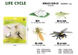 OBL10072338 - 蜻蜓成长周期
