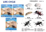 OBL10072340 - 蚂蚁成长周期