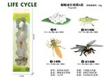 OBL10072344 - 蜻蜓成长周期
