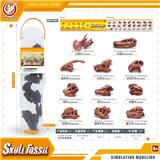 OBL10081832 - 恐龙头骨套装