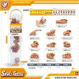 OBL10081833 - 恐龙头骨套装