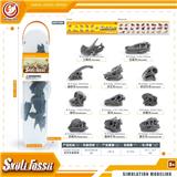 OBL10081834 - 恐龙头骨套装