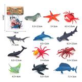 OBL10081973 - 2.5寸实心海洋12只