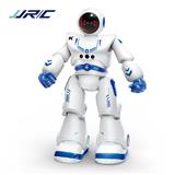 OBL10084569 - Electric robot
