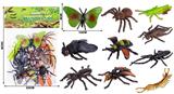 OBL10087805 - 10只昆虫套装