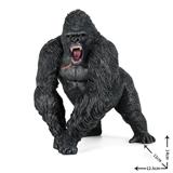 OBL10093960 - 黑猩猩