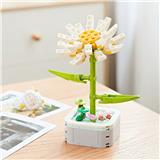 OBL10170504 - 雏菊