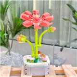 OBL10170511 - 格桑花