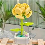 OBL10170512 - 蔷薇花