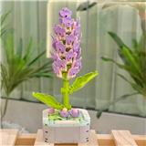 OBL10170513 - 丁香花