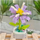 OBL10170515 - 番红花